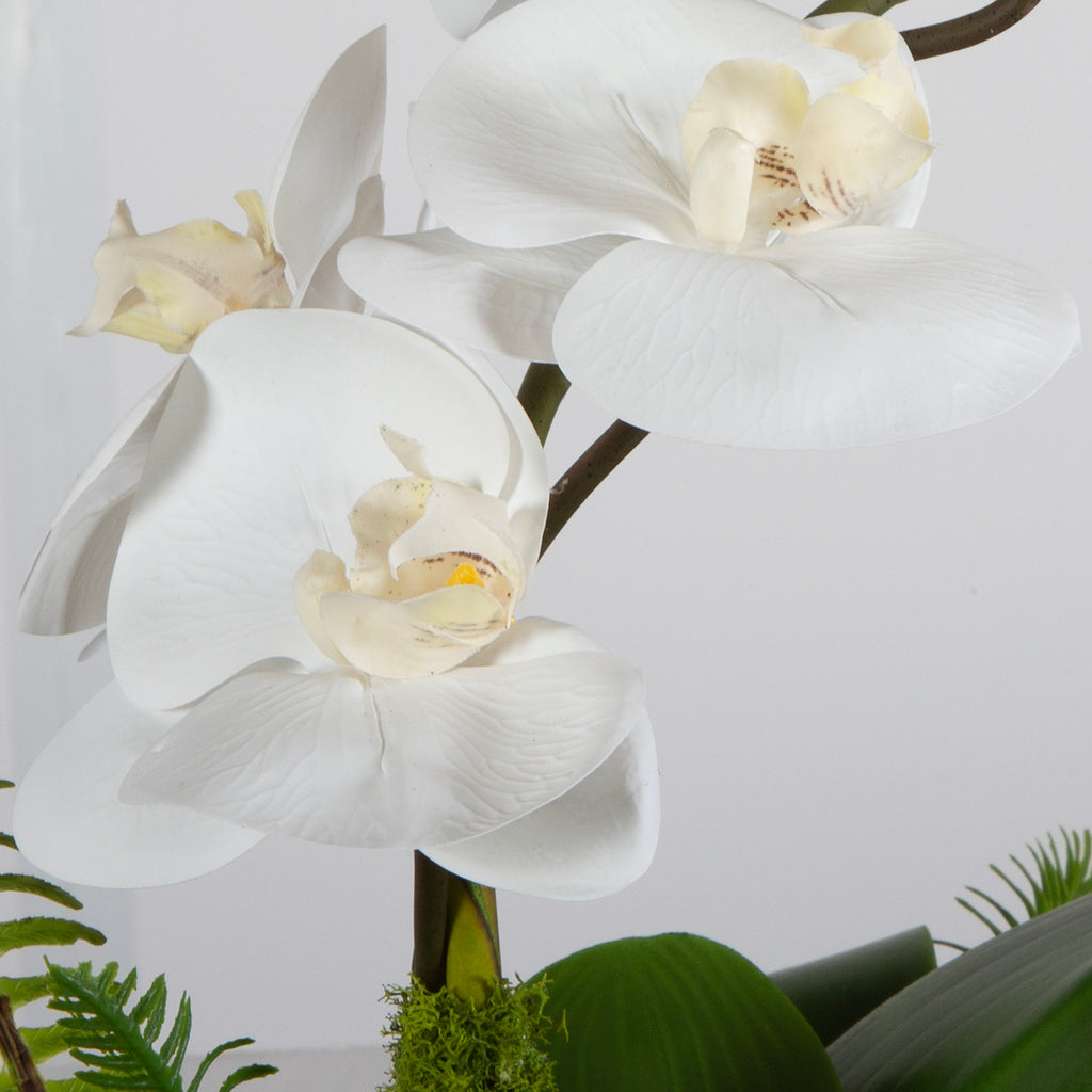 Transcend Orchid Centerpiece