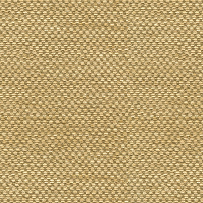 Yorke Chenille - Gold With Beige (Sample)