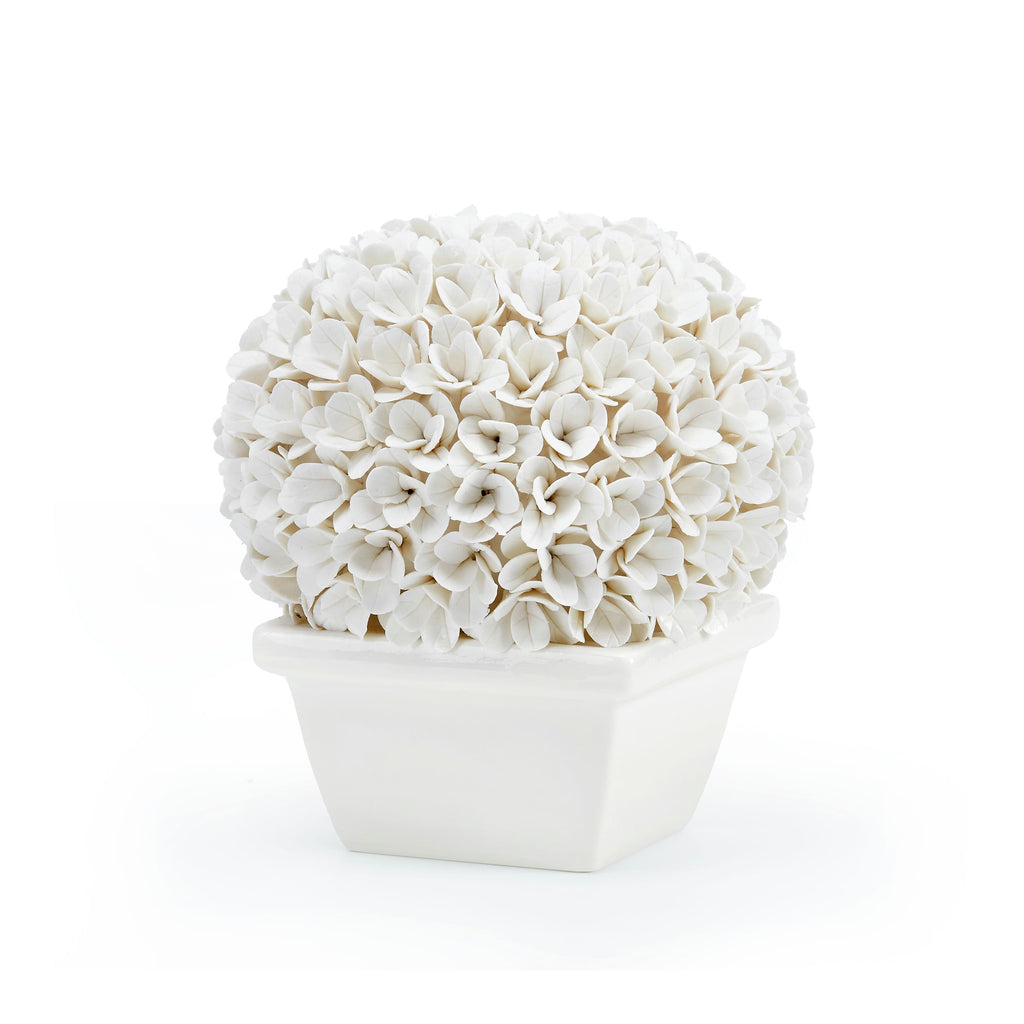 Boston Round Boxwood Topiary - Blanc de Chine