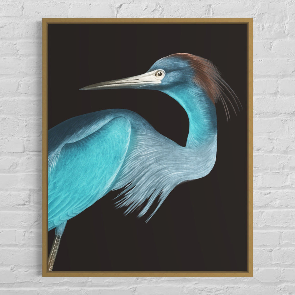 Blue Crane Rectangular Canvas Print With Brushed Gold Floater Frame Print