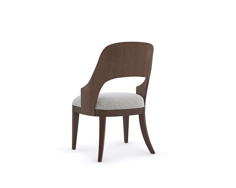 Open Seating Dining Chair