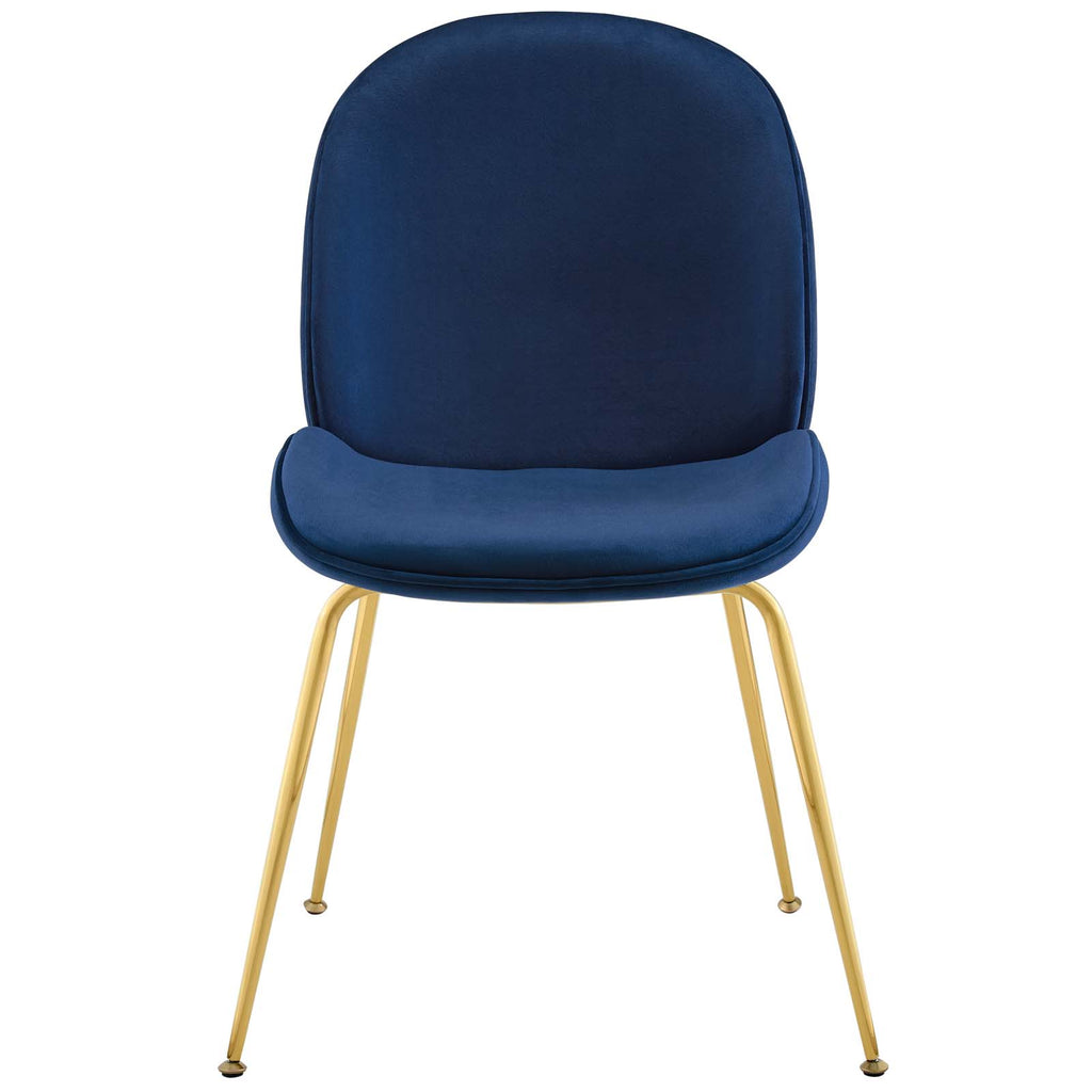 Scoop Gold Stainless Steel Leg Performance Velvet Dining Chair in Navy