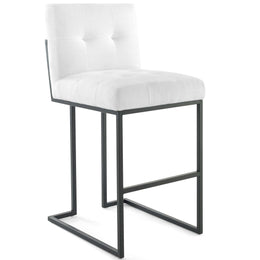 Privy Black Stainless Steel Upholstered Fabric Bar Stool Set of 2 in Black White