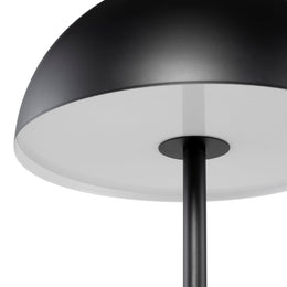 Rocio Table Lighting - Black