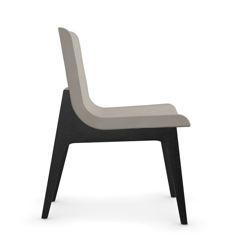 Starr Dining Chair