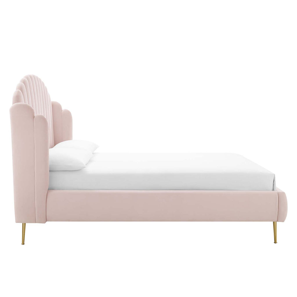 Lana Queen Performance Velvet Wingback Platform Bed in Pink