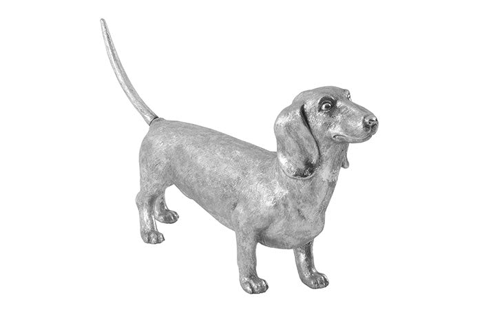 Dachshund, Silver Leaf