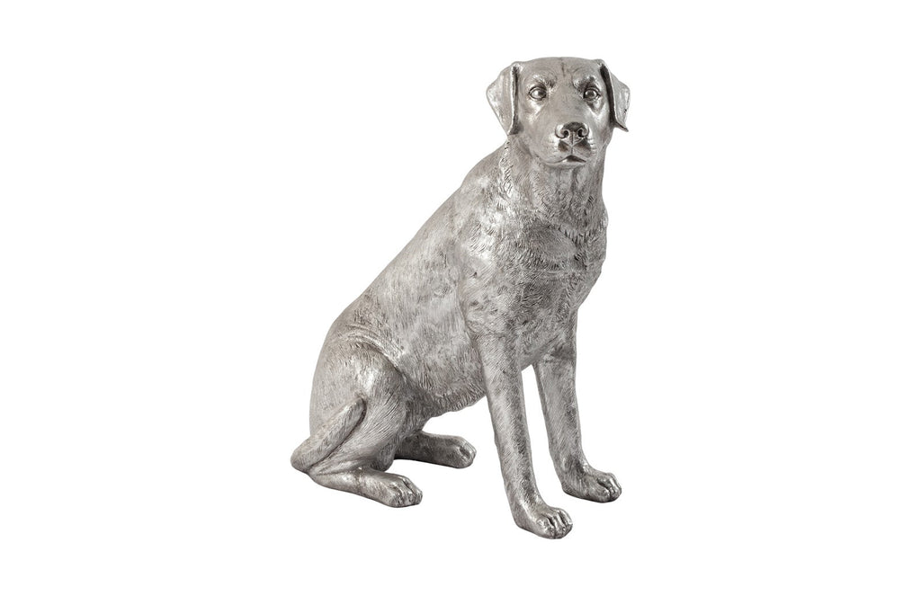 Labrador Dog, Sitting, Silver Leaf