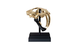 Saber Tooth Tiger Skull, Black, Gold Leaf