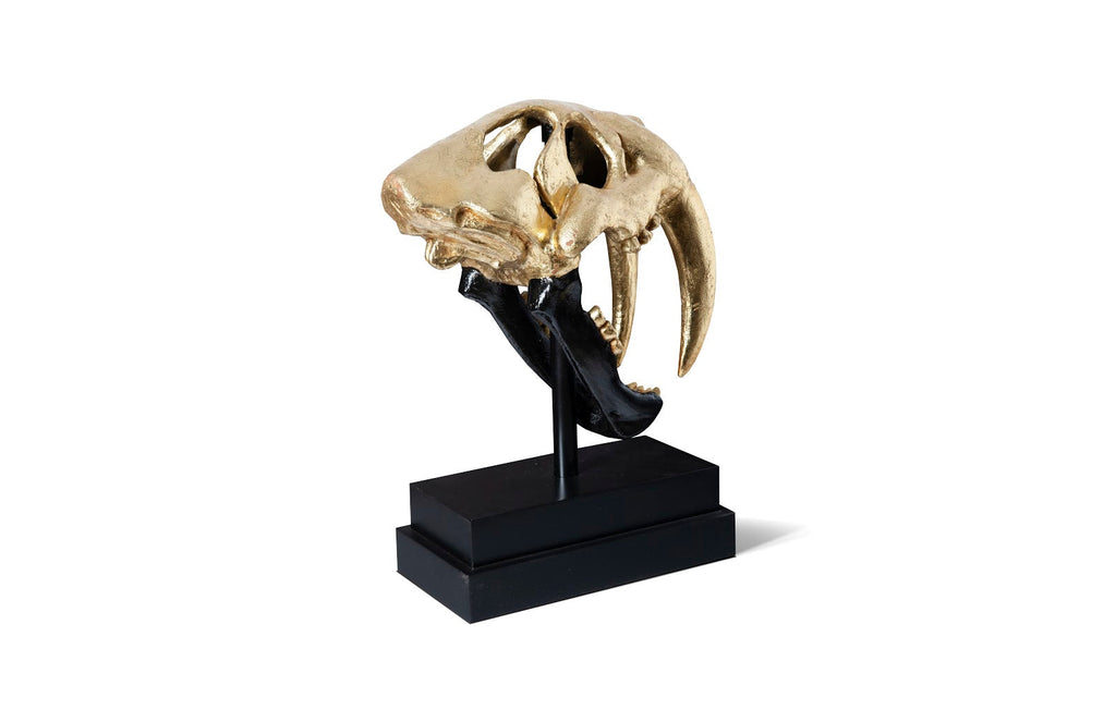 Saber Tooth Tiger Skull, Black, Gold Leaf