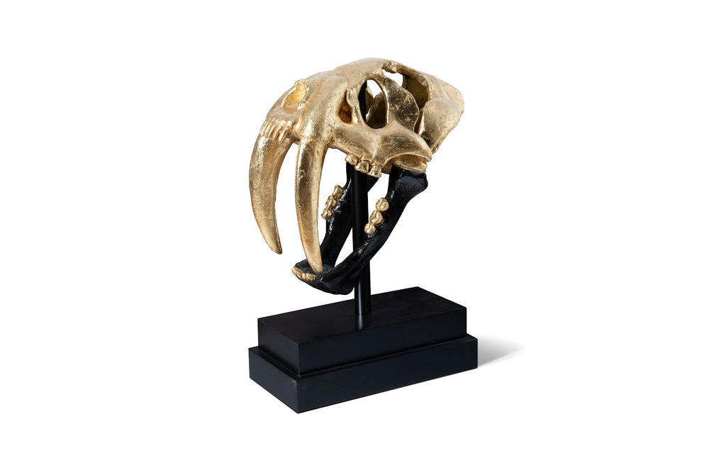 Saber Tooth Tiger Skull, Black, Gold Leaf