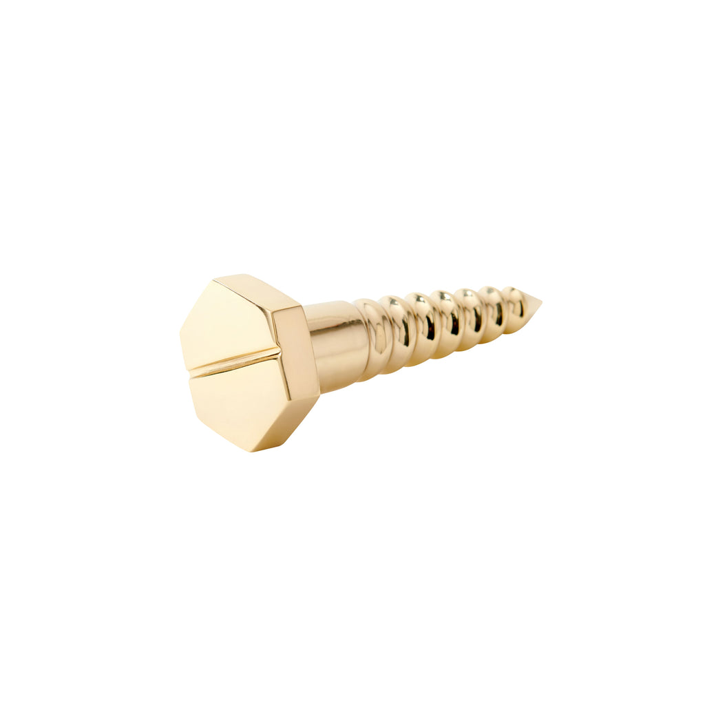 Screw Statue - Brass