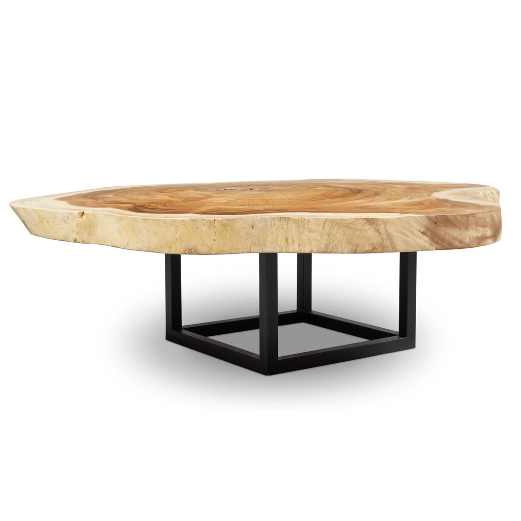 Akara Coffee Table - Black Frame - Natural Chamcha