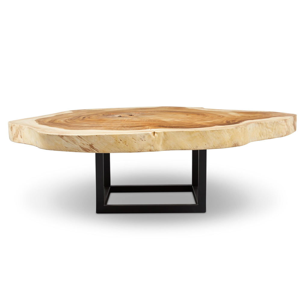 Akara Coffee Table - Black Frame - Natural Chamcha