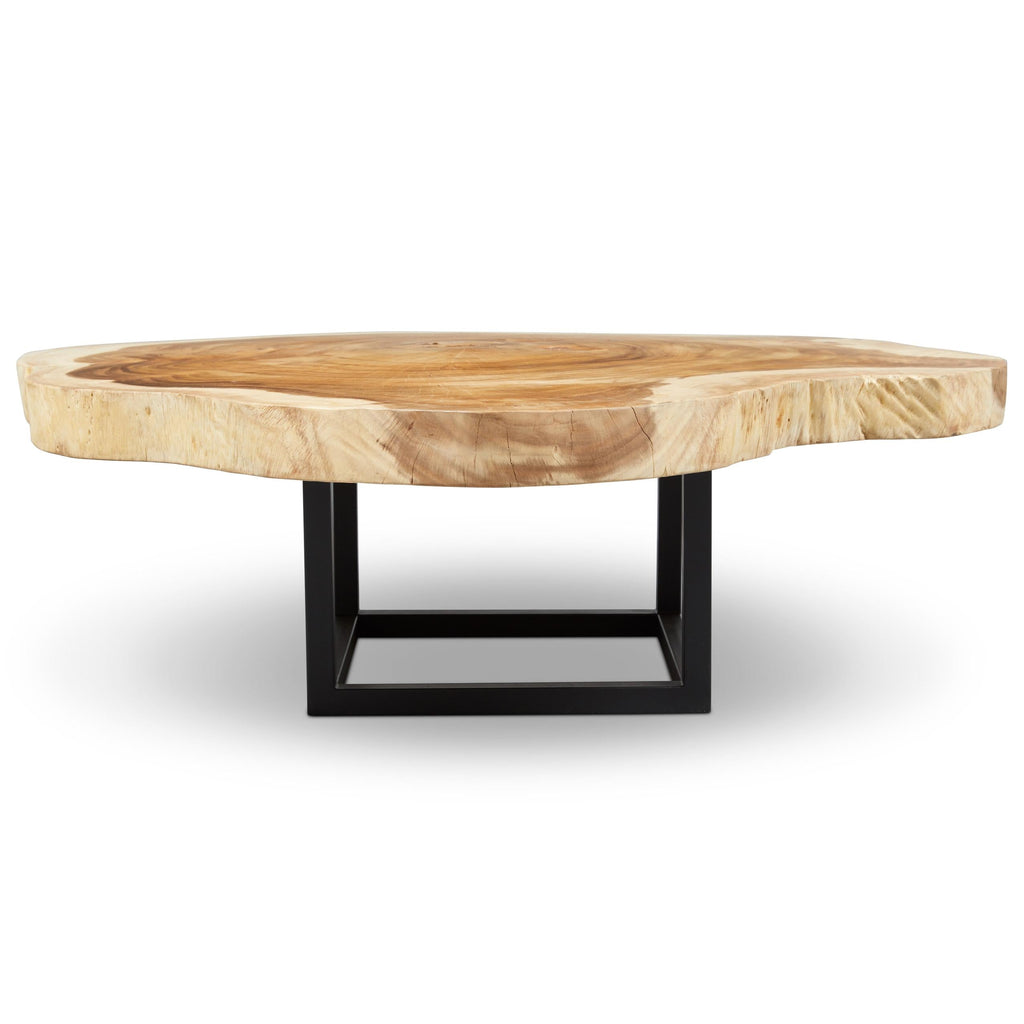 Akara Coffee Table - Black Frame - Natural Chamcha