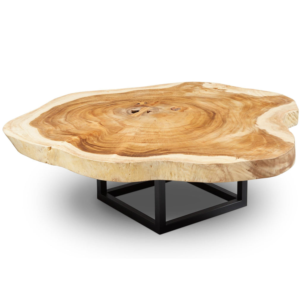 Akara Coffee Table - Black Frame - Natural Chamcha