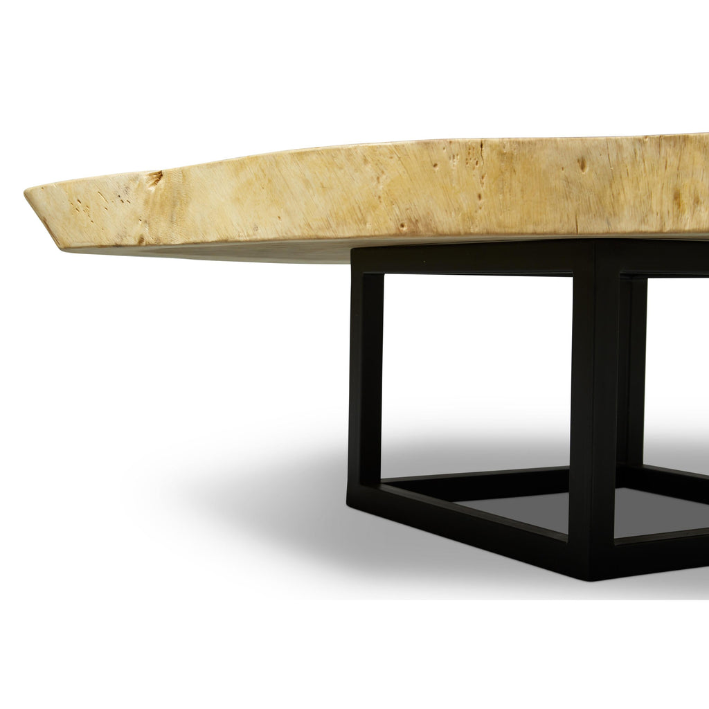 Akara Coffee Table - Black Frame - Natural Chamcha