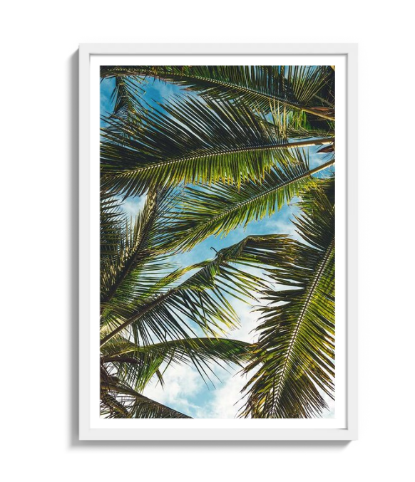 Tropical Dream By P. Fogden Print