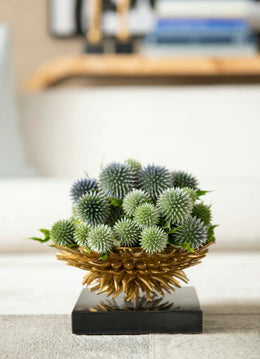 Urchin Bowl - Polished Brass