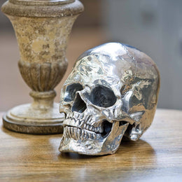 Metal Skull - Polished Nickel