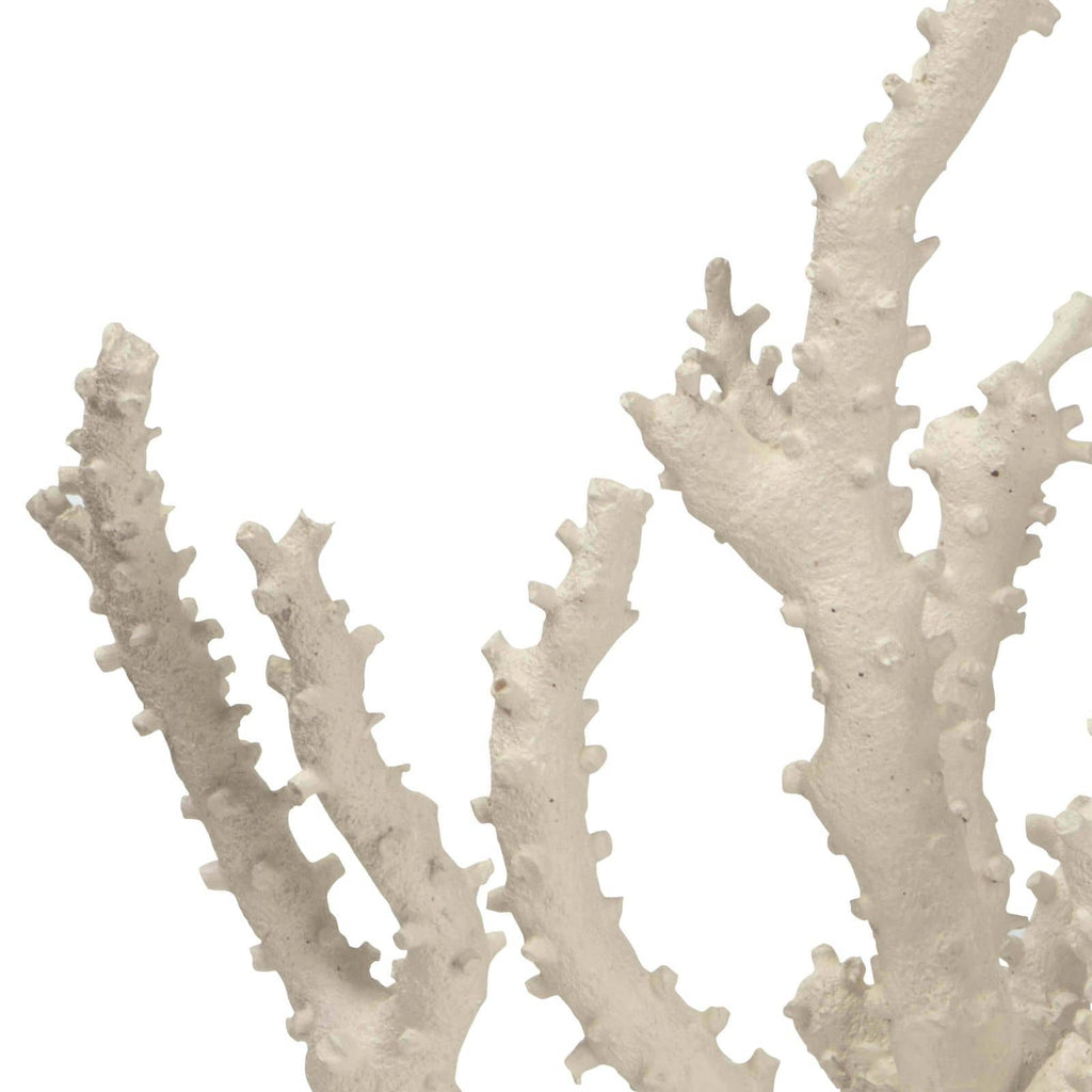 Caribbean Coral Sculpture