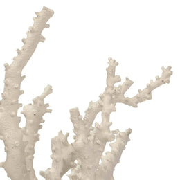 Caribbean Coral Sculpture