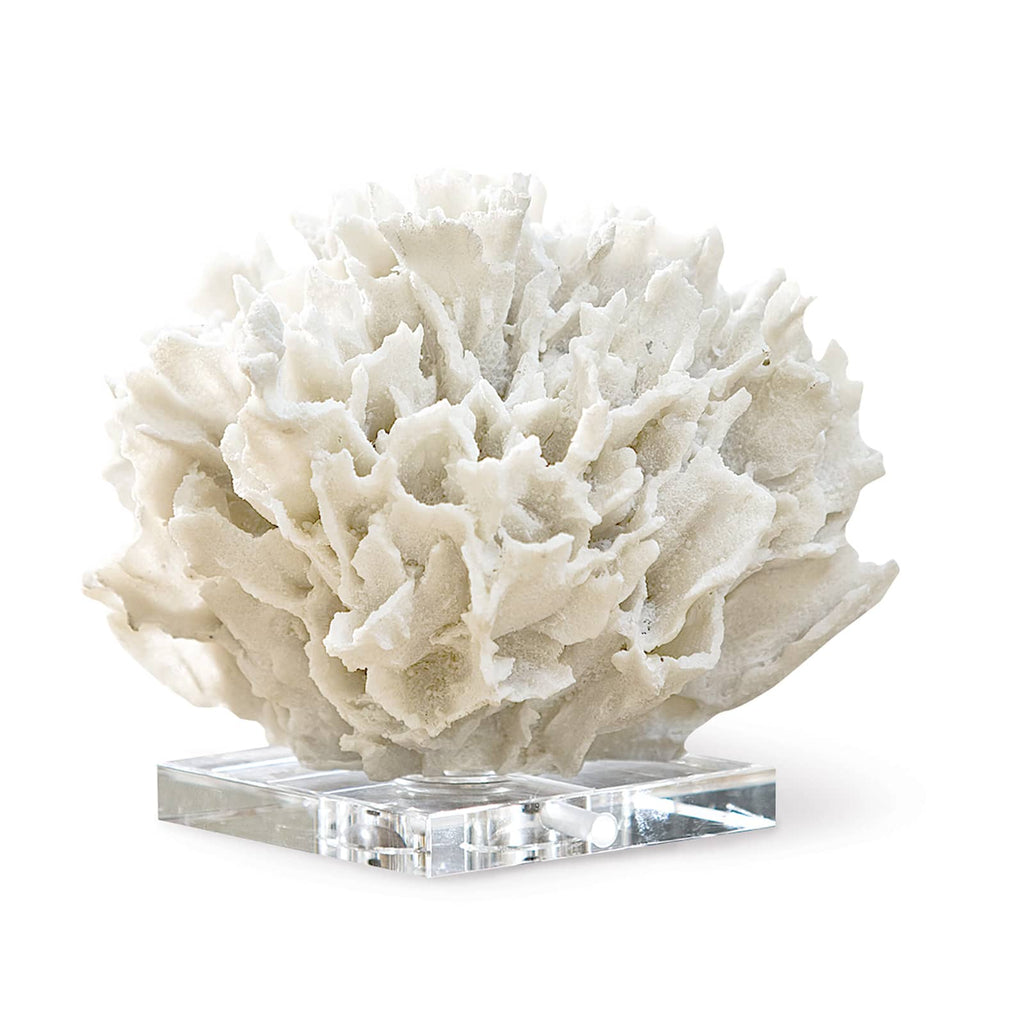 Ribbon Coral - White
