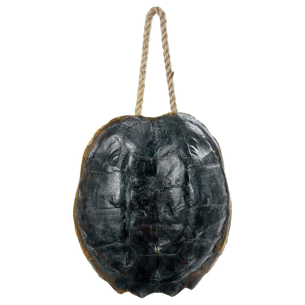 Turtle Shell Accessory - Natural