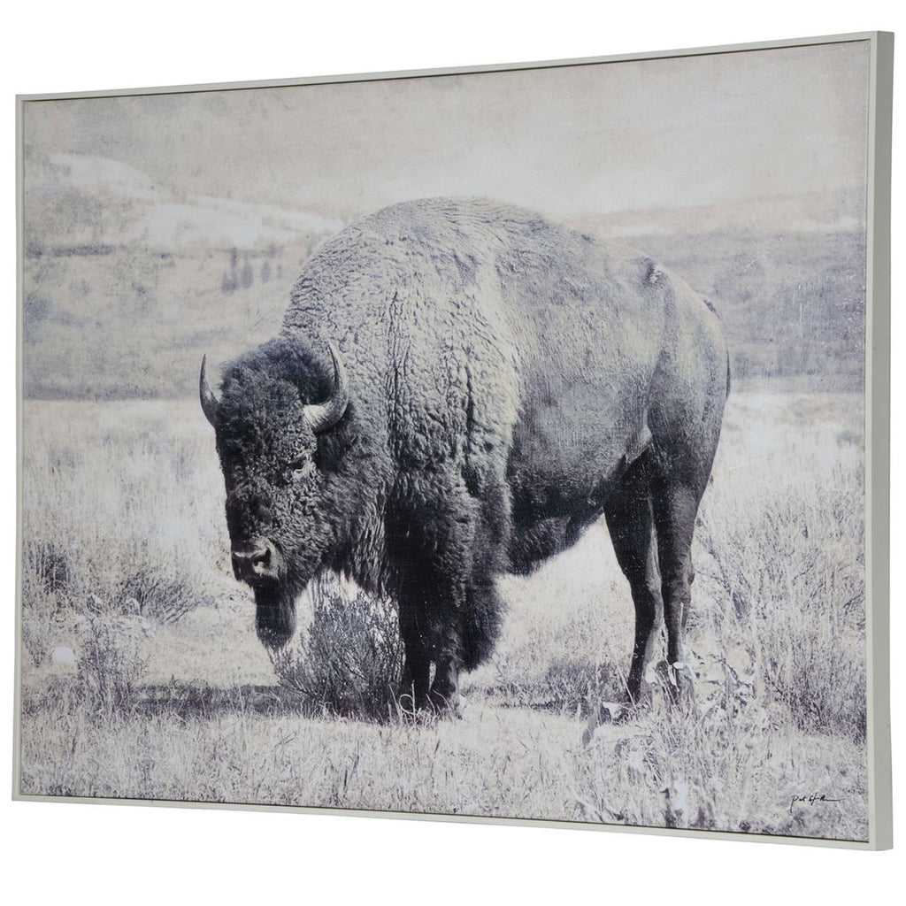 North Range Canvas Art